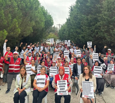 Polonez işçisi yolu gösterdi, sıra diğerlerinde!