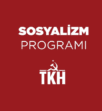 Sosyalizm Programı