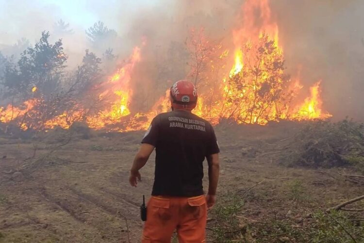 Orman işçisinin katili AKP’nin düzeni!
