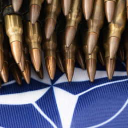 NATO zirvesinin ülkemizde toplanmasına hayır