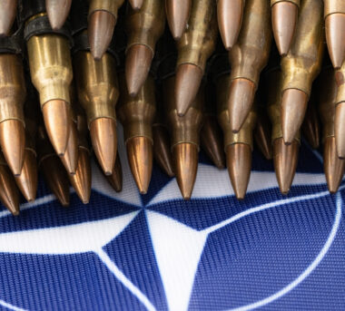 NATO zirvesinin ülkemizde toplanmasına hayır