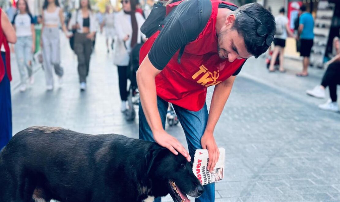 Toplu katliam değil, yaşam için AKP’nin kanun teklifine hayır!